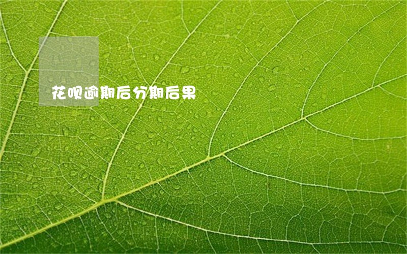 花呗逾期后分期后果 花呗逾期后分期后果