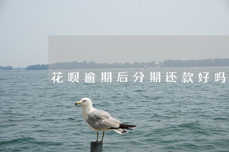 花呗逾期后分期还款好吗 花呗逾期后分期还款好吗