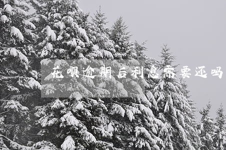 花呗逾期后利息需要还吗 花呗逾期后利息需要还吗