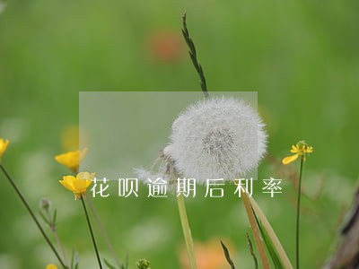 花呗逾期后利率 花呗逾期后利率