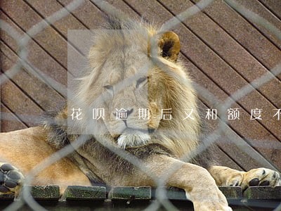 花呗逾期后又和额度不能用 花呗逾期后又和额度不能用