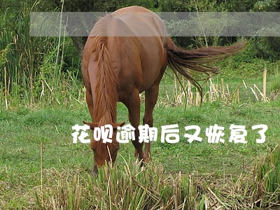 花呗逾期后又恢复了 花呗逾期后又恢复了