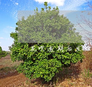 花呗逾期后发短信说要公诉 花呗逾期后发短信说要公诉