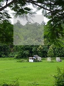 花呗逾期后取消自动还款 花呗逾期后取消自动还款