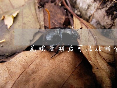 花呗逾期后可以从新分期吗 花呗逾期后可以从新分期吗