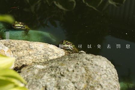 花呗逾期后可以免去罚息还款吗 花呗逾期后可以免去罚息还款吗