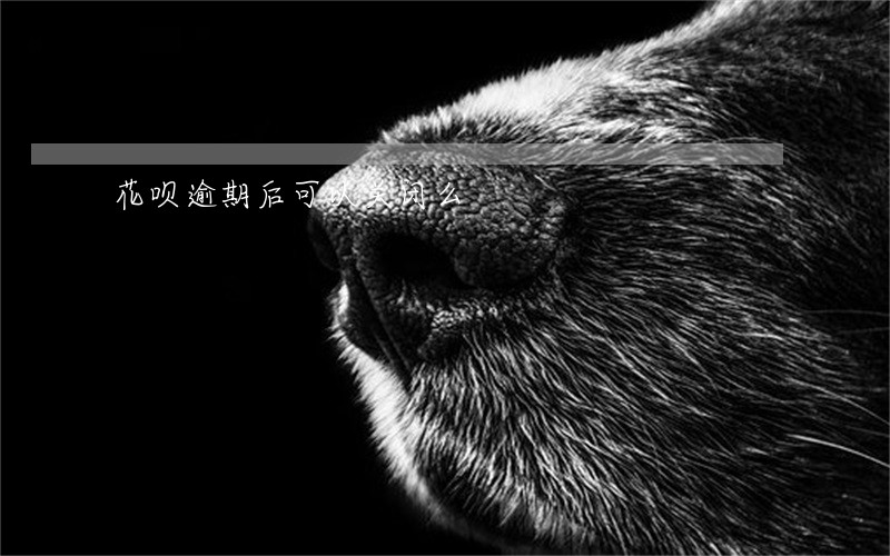 花呗逾期后可以关闭么 花呗逾期后可以关闭么