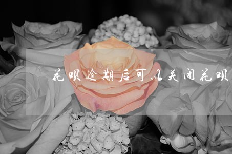 花呗逾期后可以关闭花呗吗 花呗逾期后可以关闭花呗吗