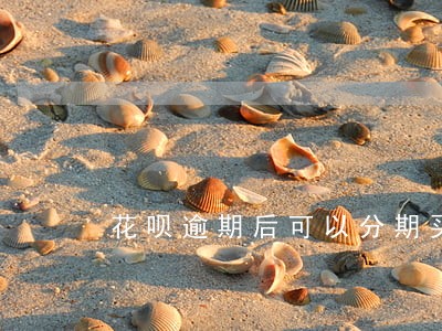 花呗逾期后可以分期买房吗 花呗逾期后可以分期买房吗