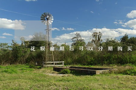 花呗逾期后可以分期购买手机 花呗逾期后可以分期购买手机