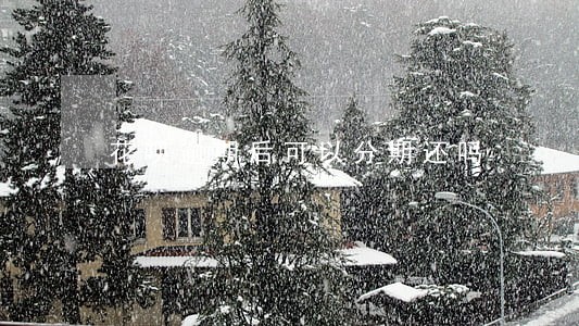 花呗逾期后可以分期还吗 花呗逾期后可以分期还吗