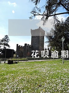 花呗逾期后可以办理分期吗 花呗逾期后可以办理分期吗