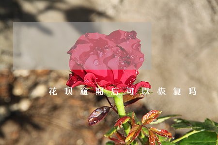 花呗逾期后可以恢复吗 花呗逾期后可以恢复吗