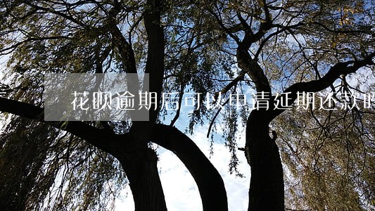 花呗逾期后可以申请延期还款吗 花呗逾期后可以申请延期还款吗