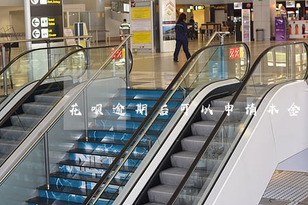 花呗逾期后可以申请本金还款吗 花呗逾期后可以申请本金还款吗