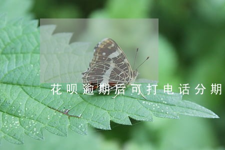 花呗逾期后可打电话分期吗 花呗逾期后可打电话分期吗
