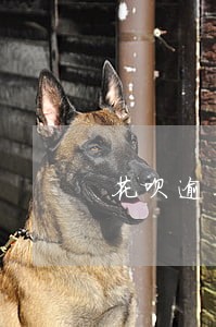 花呗逾期后台关闭借呗吗 花呗逾期后台关闭借呗吗