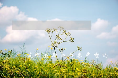花呗逾期后后果严重吗 花呗逾期后后果严重吗