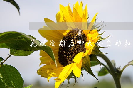花呗逾期后哪天会自动扣费 花呗逾期后哪天会自动扣费