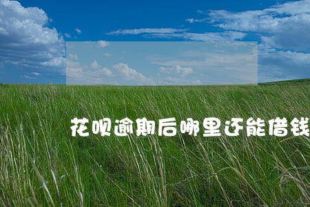 花呗逾期后哪里还能借钱 花呗逾期后哪里还能借钱