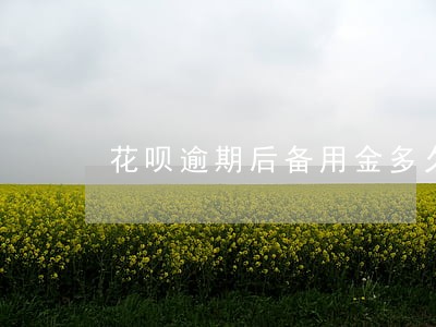 花呗逾期后备用金多久可以用 花呗逾期后备用金多久可以用
