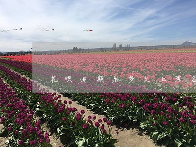 花呗逾期后多久上黑名单 花呗逾期后多久上黑名单