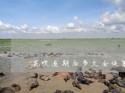 花呗逾期后多久会恢复 花呗逾期后多久会恢复