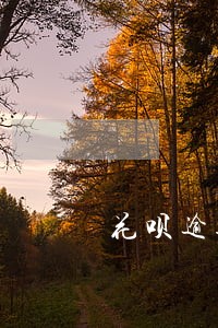 花呗逾期后多久会恢复正常 花呗逾期后多久会恢复正常