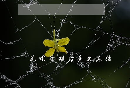 花呗逾期后多久冻结 花呗逾期后多久冻结