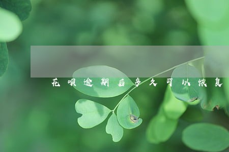 花呗逾期后多久可以恢复使用额度