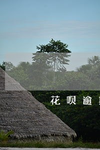 花呗逾期后多久可以恢复关闭花呗 花呗逾期后多久可以恢复关闭花呗