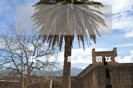 花呗逾期后多久可以恢复页面 花呗逾期后多久可以恢复页面