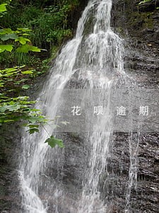 花呗逾期后多久可以恢复额度 花呗逾期后多久可以恢复额度