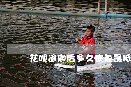 花呗逾期后多久恢复最低还款 花呗逾期后多久恢复最低还款