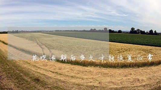 花呗逾期后多久才能恢复正常 花呗逾期后多久才能恢复正常