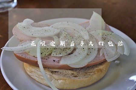 花呗逾期后多久打电话