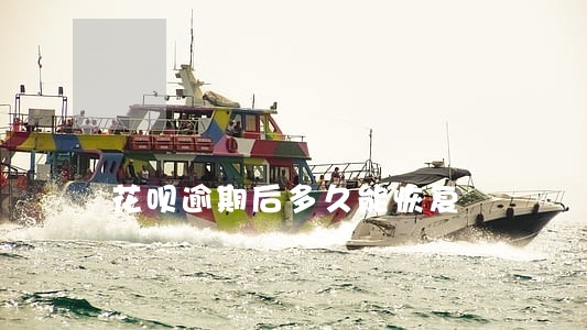 花呗逾期后多久能恢复 花呗逾期后多久能恢复