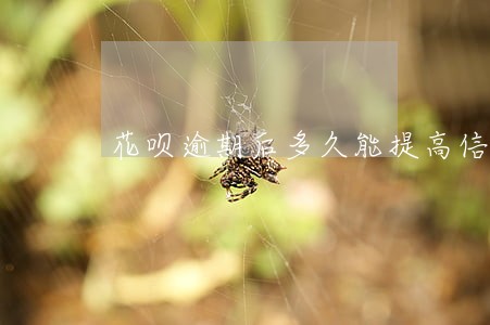 花呗逾期后多久能提高信用分 花呗逾期后多久能提高信用分