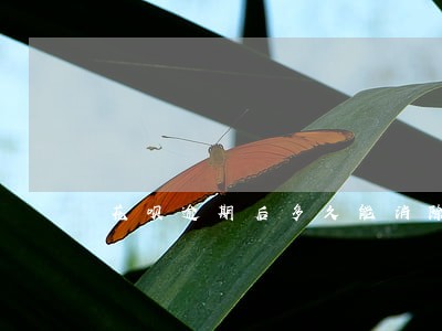 花呗逾期后多久能消除 花呗逾期后多久能消除