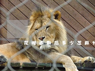花呗逾期后多少芝麻分会解冻