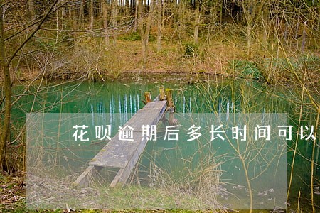 花呗逾期后多长时间可以恢复使用 花呗逾期后多长时间可以恢复使用