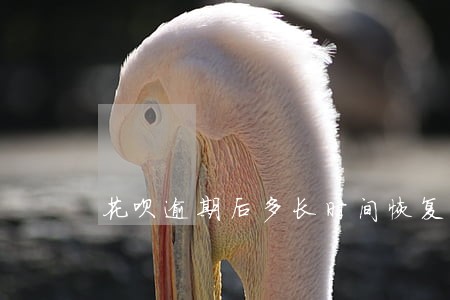 花呗逾期后多长时间恢复使用 花呗逾期后多长时间恢复使用