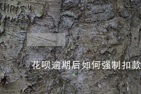 花呗逾期后如何强制扣款 花呗逾期后如何强制扣款
