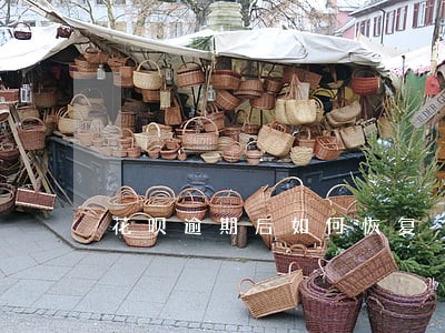 花呗逾期后如何恢复 花呗逾期后如何恢复