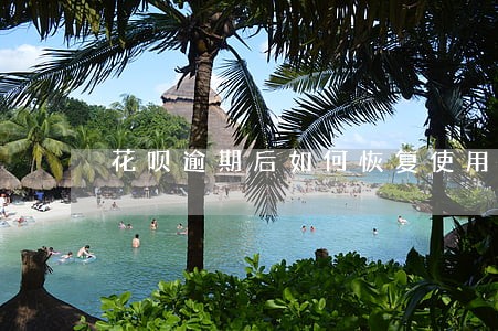 花呗逾期后如何恢复使用吗 花呗逾期后如何恢复使用吗