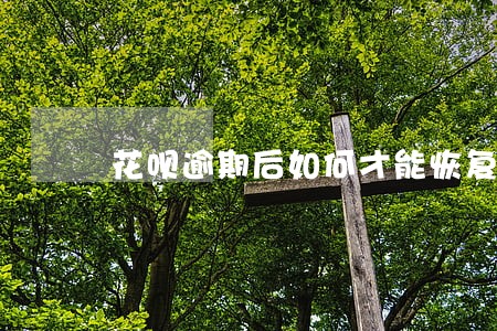 花呗逾期后如何才能恢复额度 花呗逾期后如何才能恢复额度