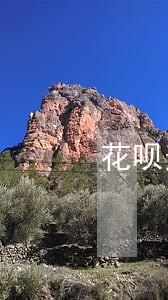 花呗逾期后如何注销 花呗逾期后如何注销
