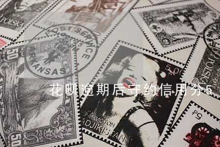 花呗逾期后守约信用分510 花呗逾期后守约信用分510