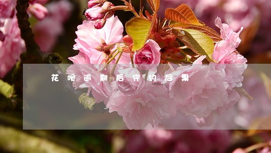 花呗逾期后守约后果 花呗逾期后守约后果