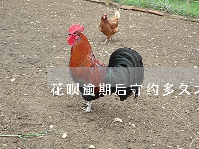 花呗逾期后守约多久才能分期 花呗逾期后守约多久才能分期